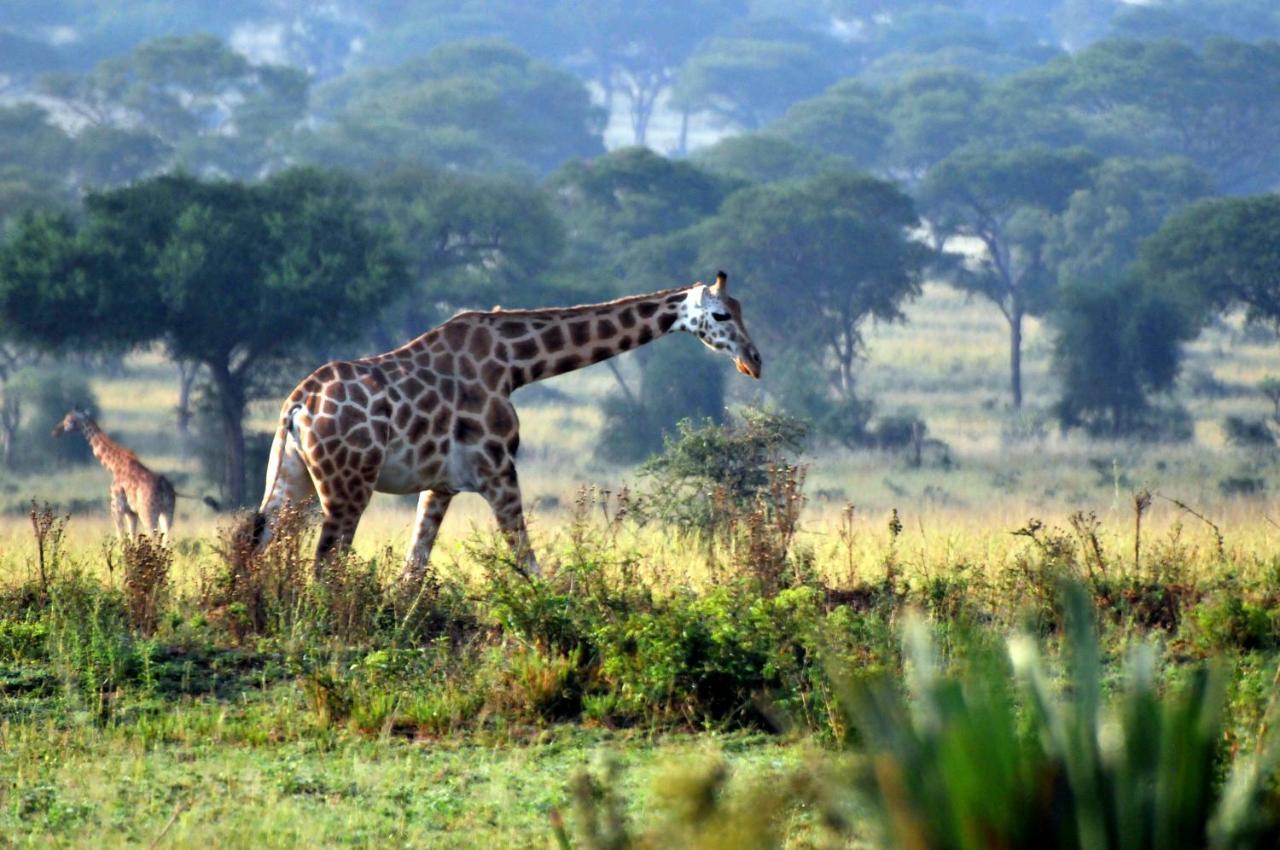Victoria Lake View Guesthouse & Safaris Entebbe Exterior foto